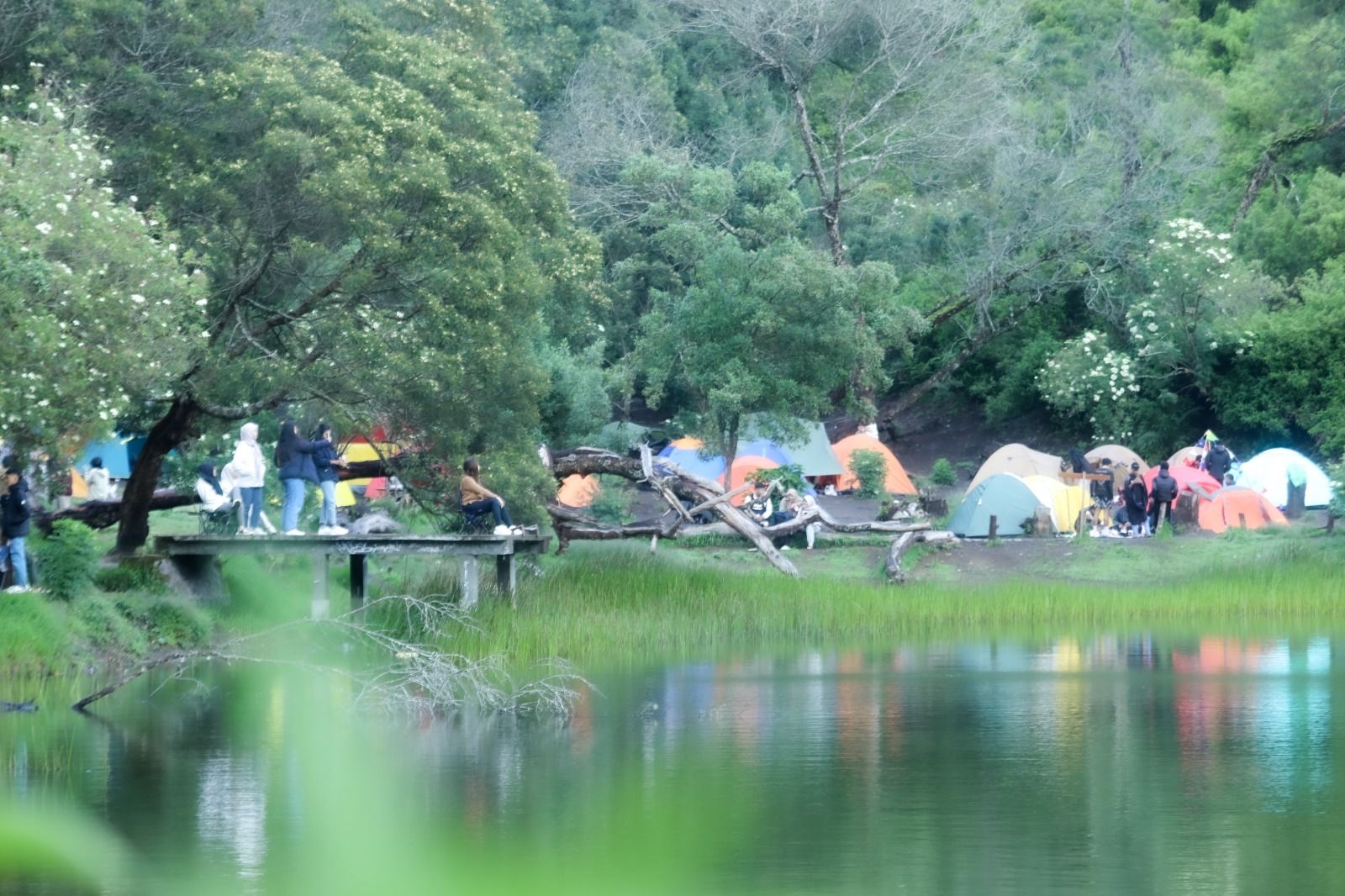 Pesona Ranu Regulo di Desa Ranupani Lumajang Memikat Hati Pesona Ranu Regulo di Desa Ranupani Lumajang Memikat Hati