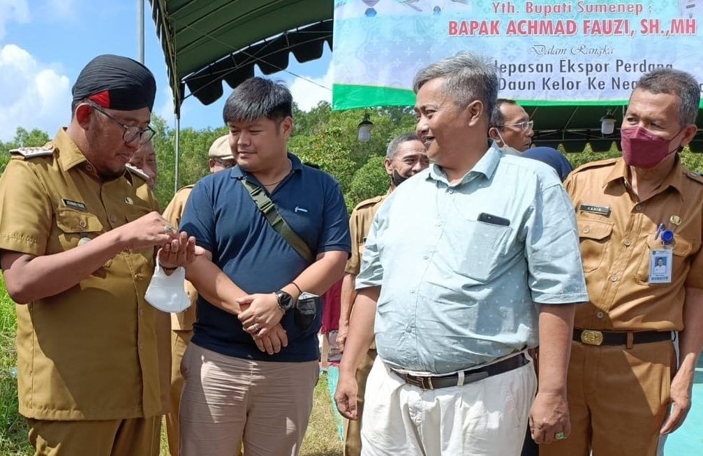 Raup Dolar Dari ‘Pohon Ajaib’ Sumenep