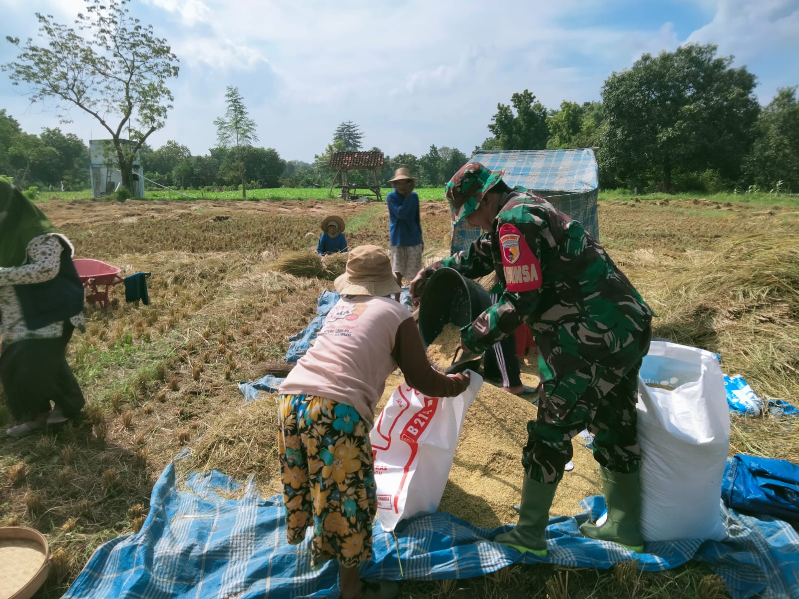 Panen Melimpah, Babinsa Sebut Ini Berkah Bagi Petani di Bulan Ramadhan