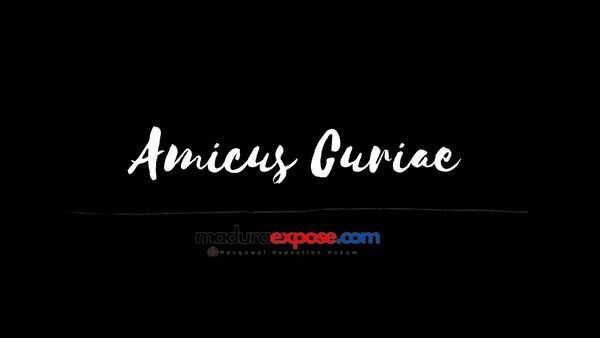Vox Populi Vox Dei, Bukan Amicus Curiae