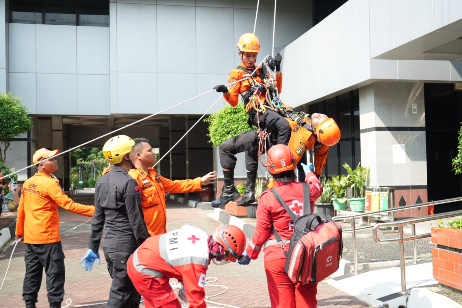 Latihan Vertical Rescue