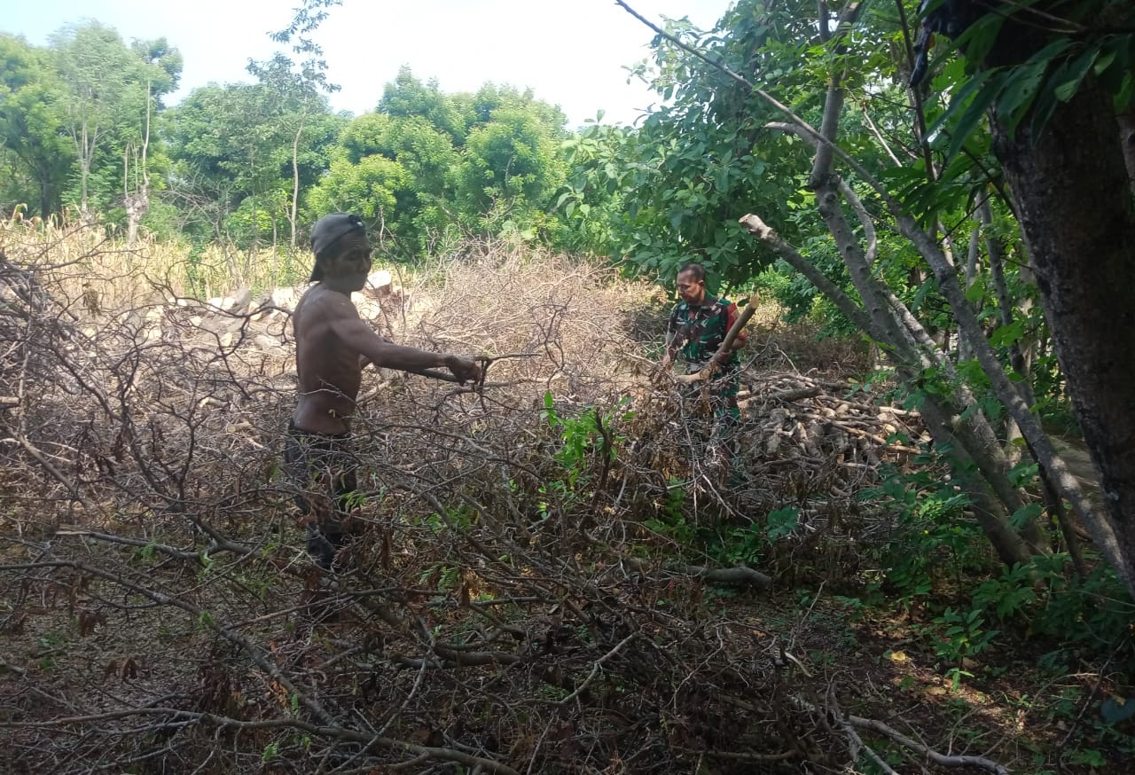 Babinsa Koramil 0827/23 Giligenting Bantu Petani Lakukan Pembersihan Lahan
