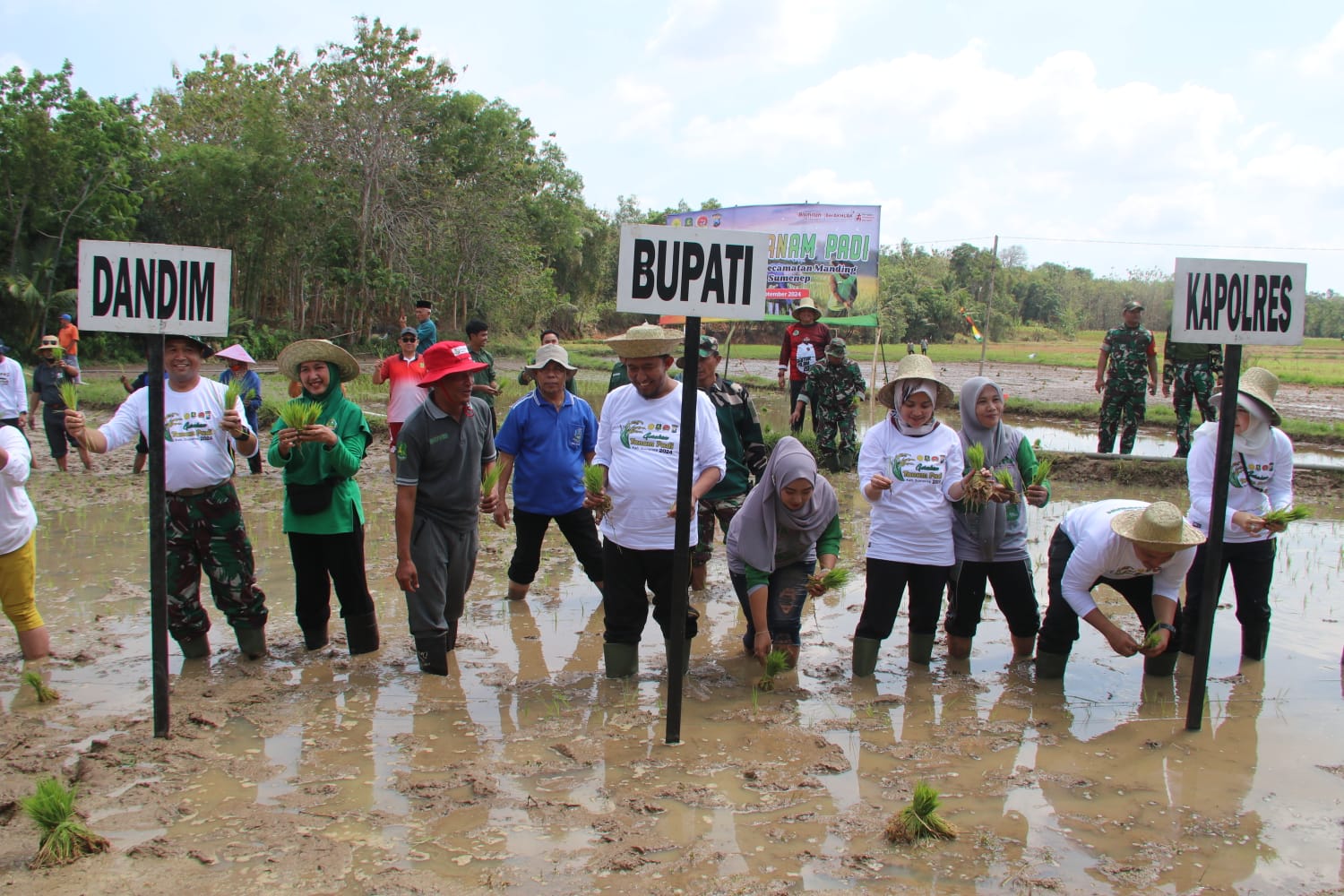 Bupati Fauzi Bersama Dandim Sumenep dan  Forkopimda Lakukan Gerakan Tanam Padi