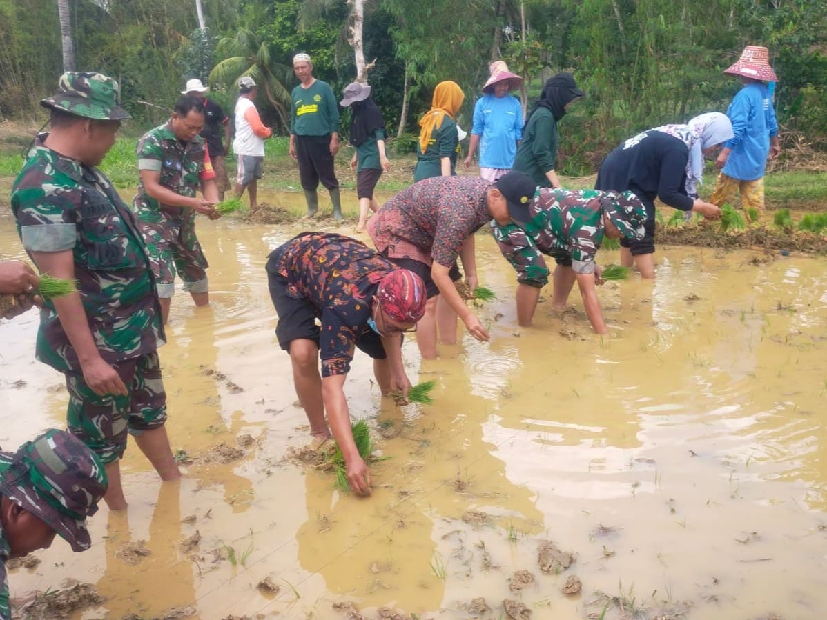 Gerakan Tanam Padi Melalui Sumur Bor Dorong Produktivitas di Batang Batang