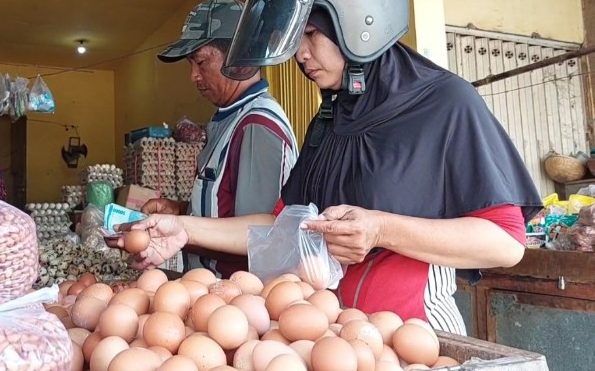 Maulid Nabi, Harga Telur Pecah Rp30 Ribu per Kg