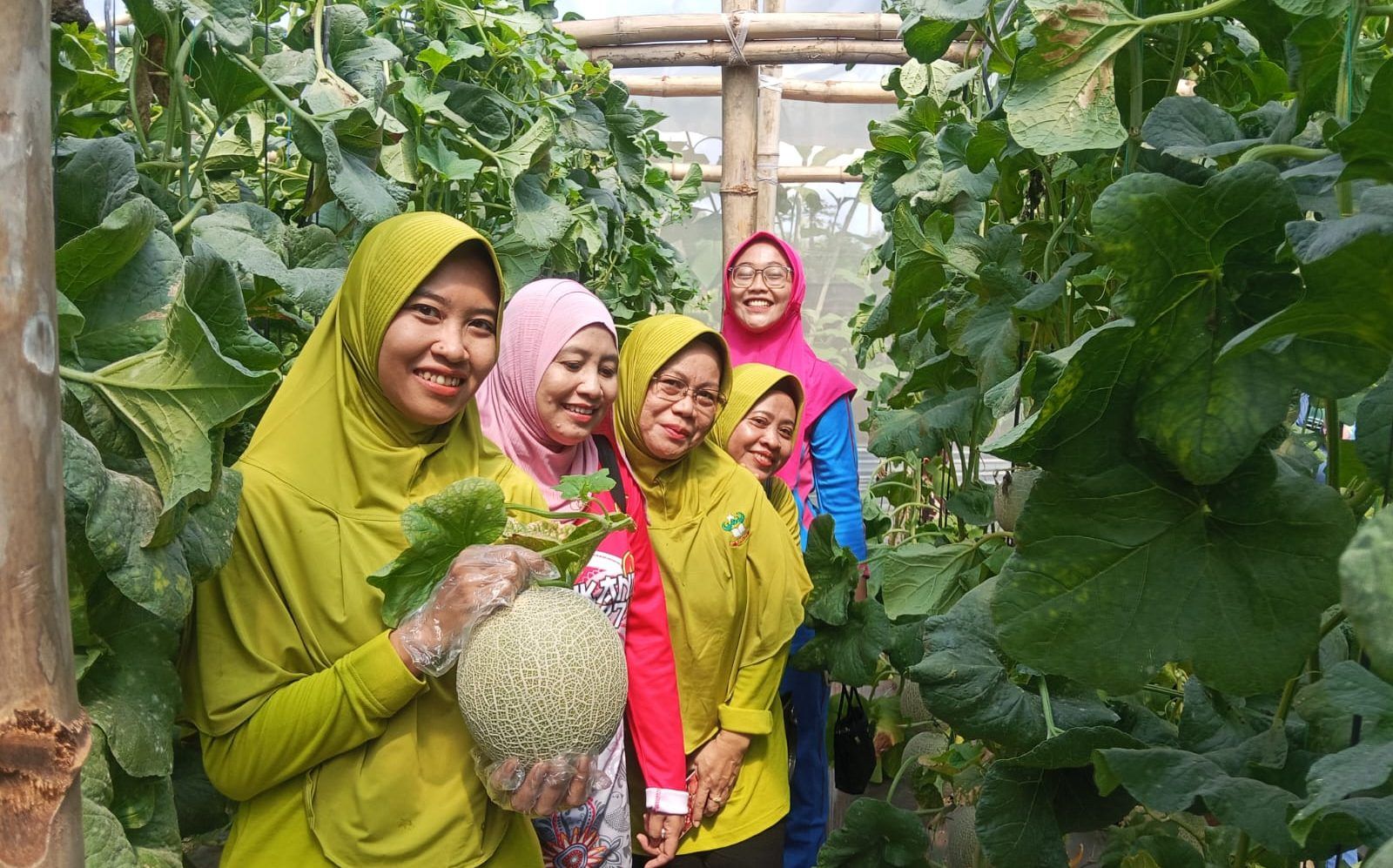 Visi Persit Sumenep: Ny. Tiara Bendi Wibisono Dorong Generasi Muda Cintai Pangan Lokal Melalui Green House BUMDes Visi Persit Sumenep: Ny. Tiara Bendi Wibisono Dorong Generasi Muda Cintai Pangan Lokal Melalui Green House BUMDes