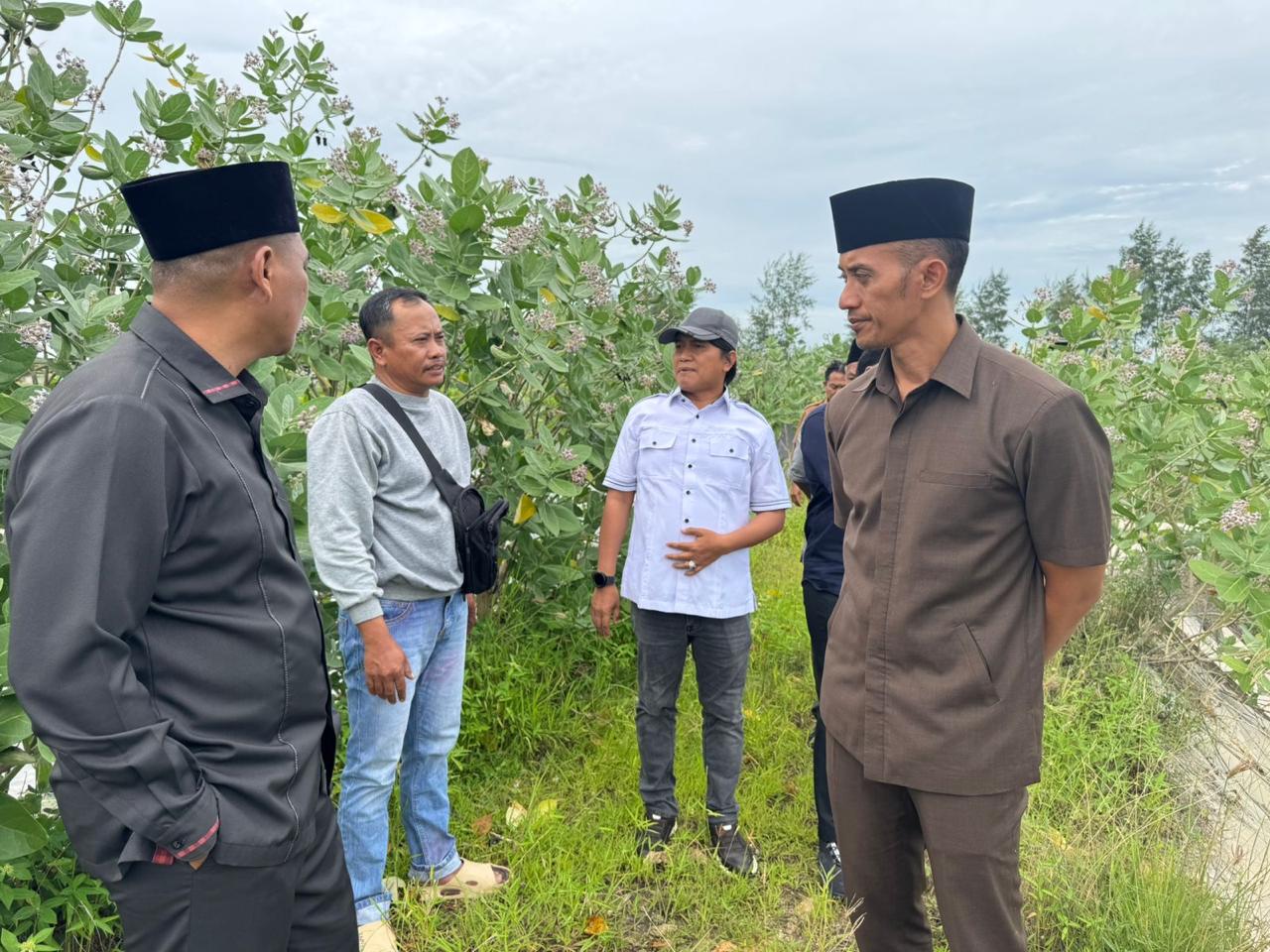 Skandal Limbah Tambak Udang Sumenep: Akhmadi Yasid ‘Lawan’ Pengusaha Nakal, PAD Bocor Ratusan Juta!