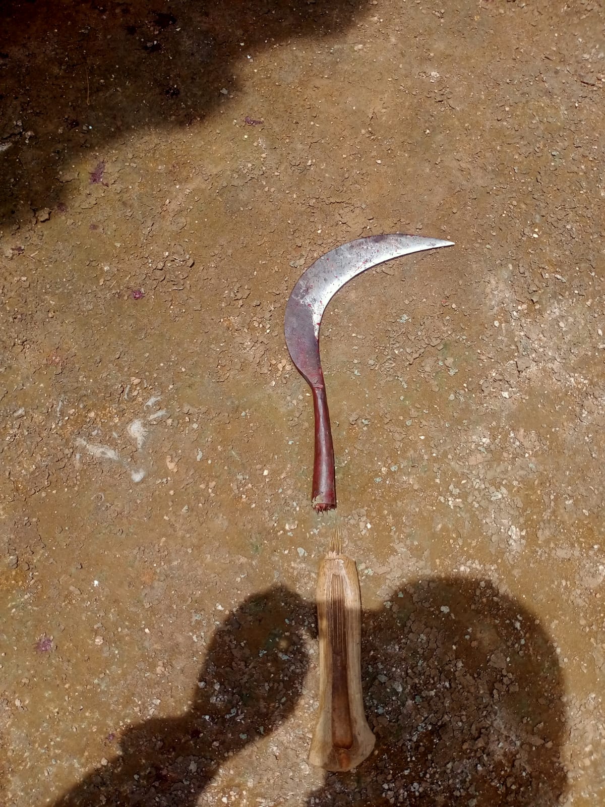 Pembunuh Warga Gadu Timur Tertangkap, Tak Ada Ruang Maaf bagi Penjagal Nyawa!