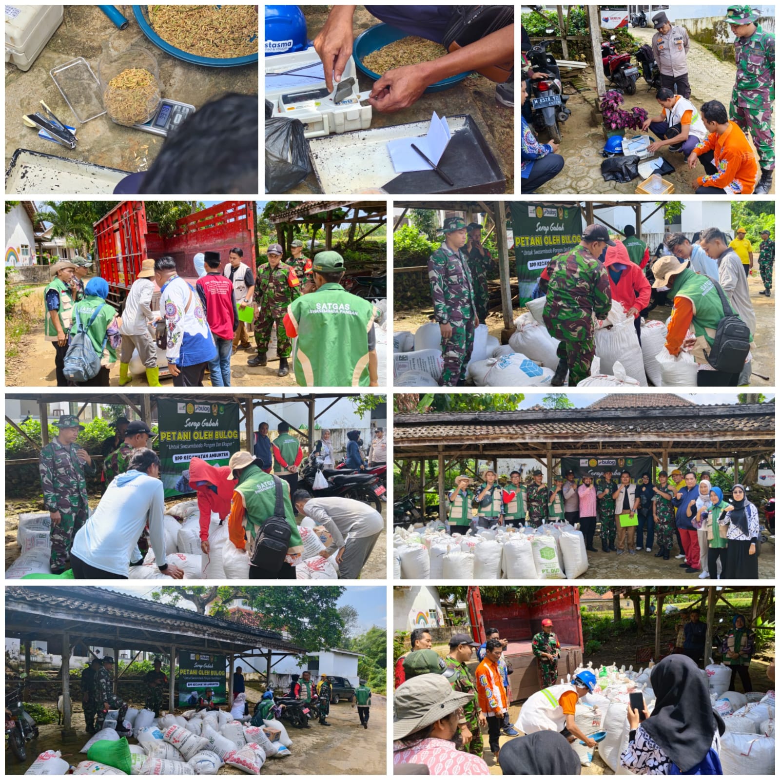 TNI Kawal Serapan Gabah Petani Ambunten, 6 Ton Terserap di Awal Program 2026