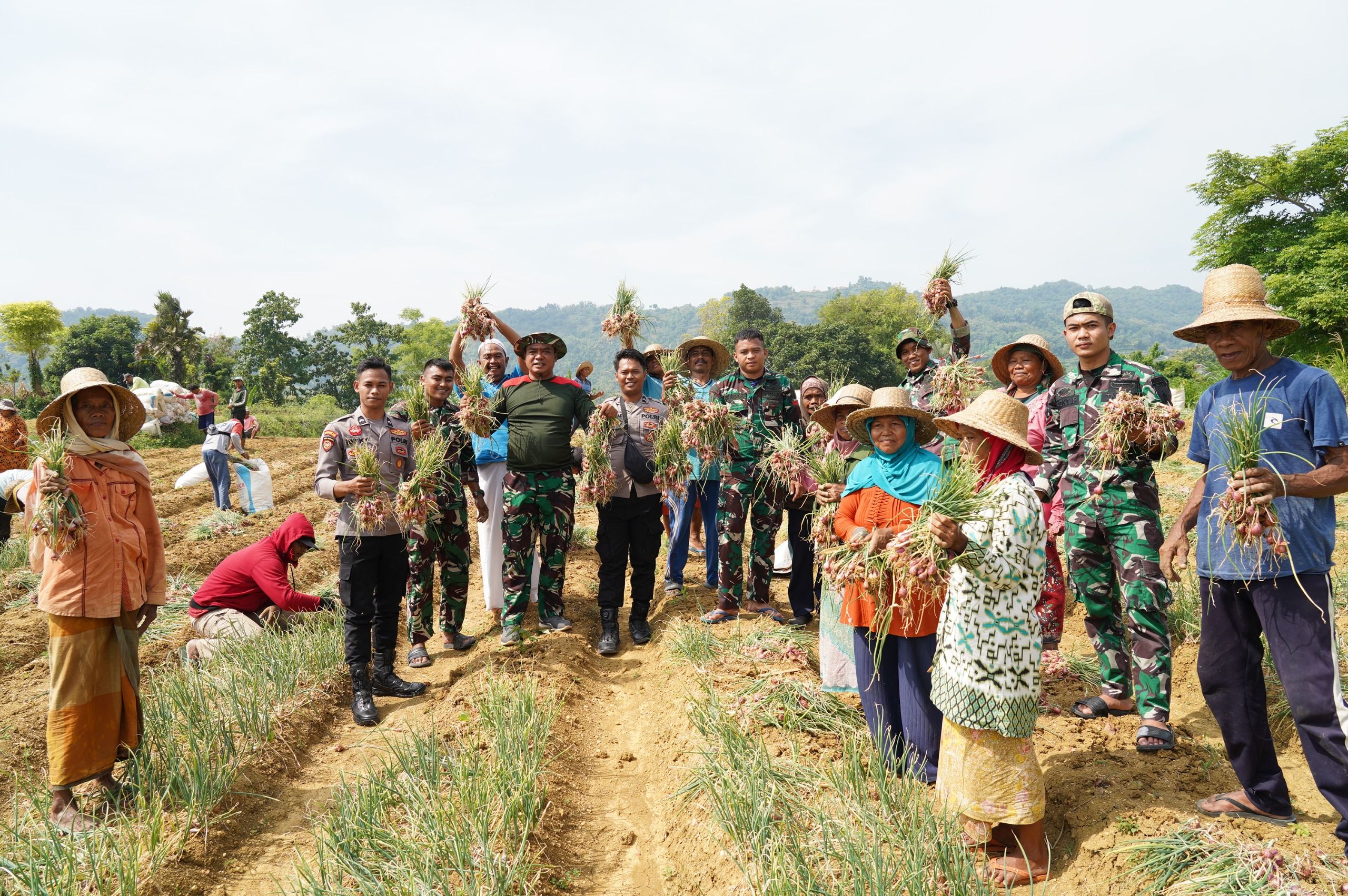 TMMD 127 Sumenep Guncang Rubaru: Sinergi TNI-Polri Perkuat Ekspor Bawang Merah hingga ke Belanda