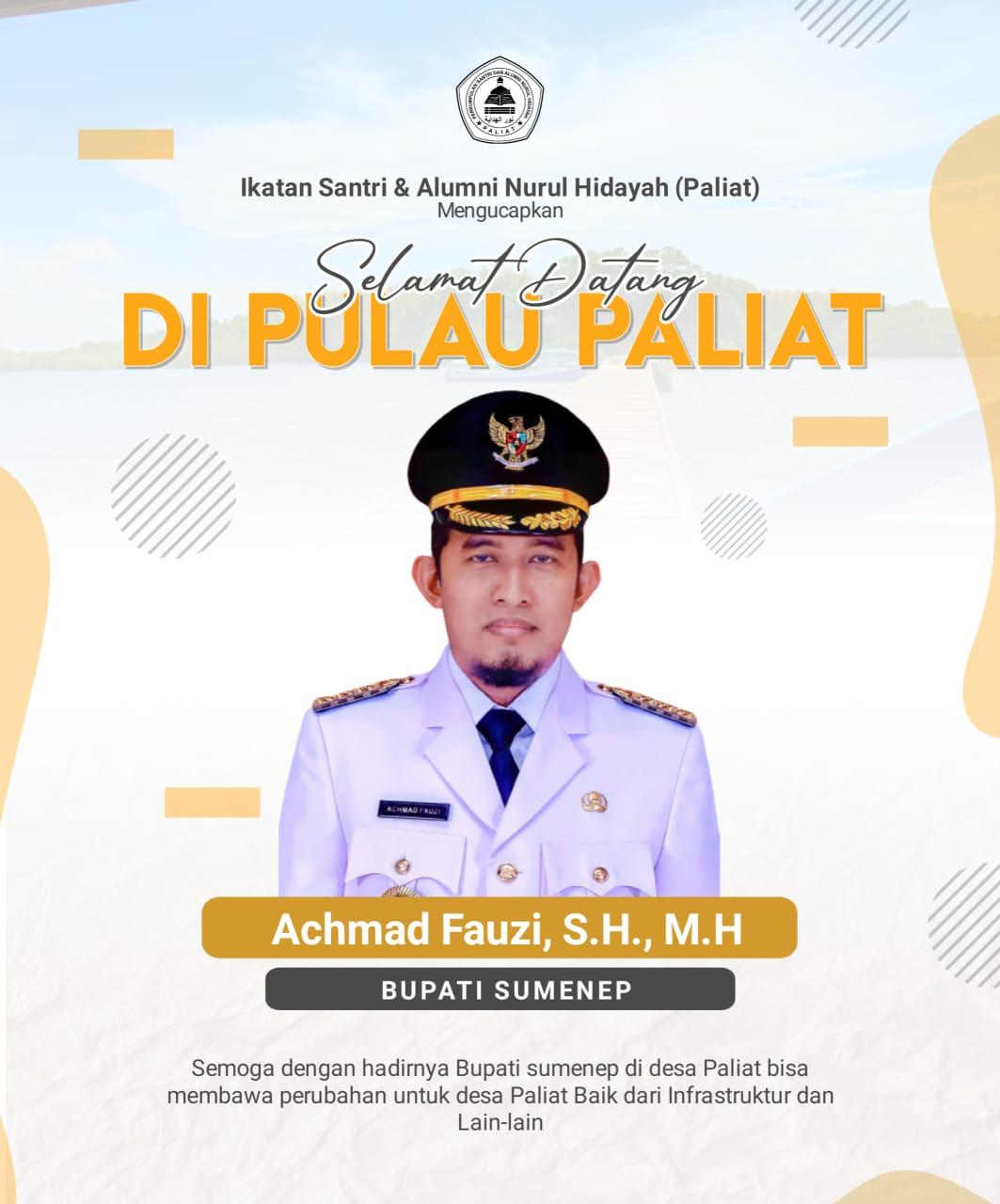 Bupati Fauzi Disambut Antusias Masyarakat Desa Pulau Paliat