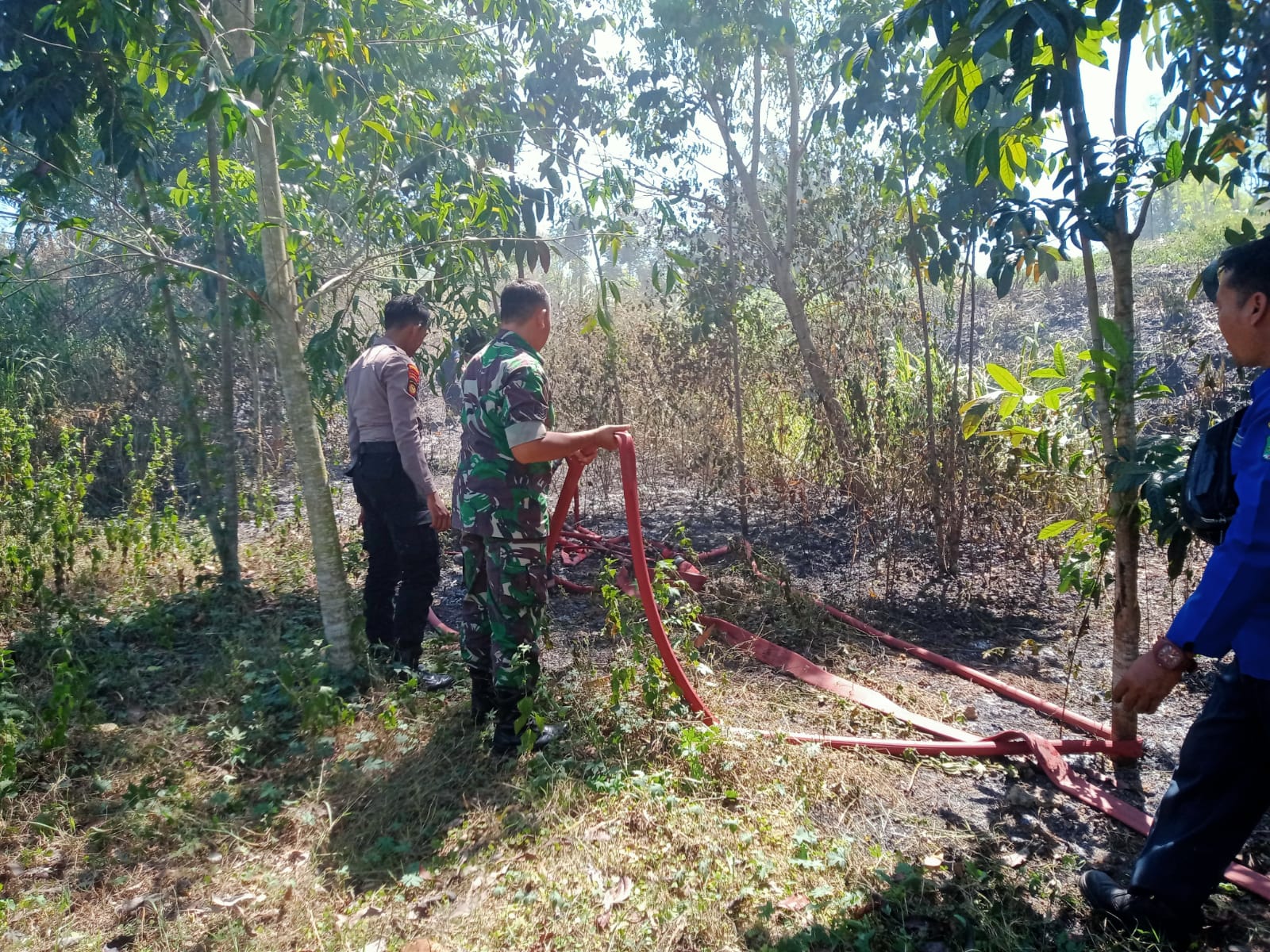 Gerak Cepat, Babinsa Koramil 01/Kota Bersama Bhabinkamtibmas Bantu Padamkan Kebakaran Lahan Gerak Cepat, Babinsa Koramil 01/Kota Bersama Bhabinkamtibmas Bantu Padamkan Kebakaran Lahan