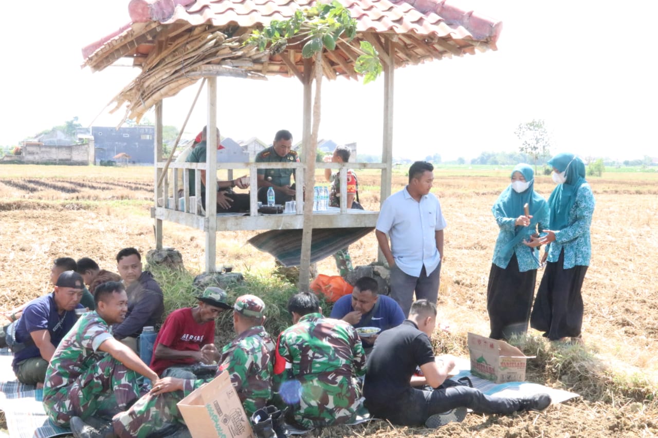Dandim Tinjau Penanaman Jagung di Patean, Kades Siapkan Lahan 10 Hektar