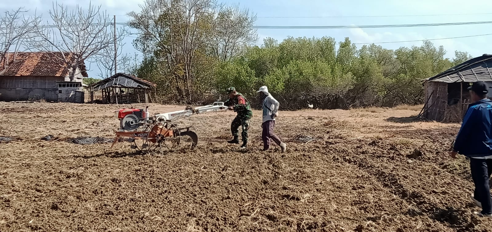 Bantu Siapkan Lahan, Babinsa di Raas Bajak Sawah Seluas 1 Hektar