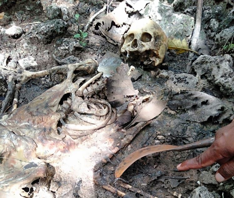 Sumenep Geger, Pencari Ular Temukan Tengkorak Manusia Di Desa Ellak Daya