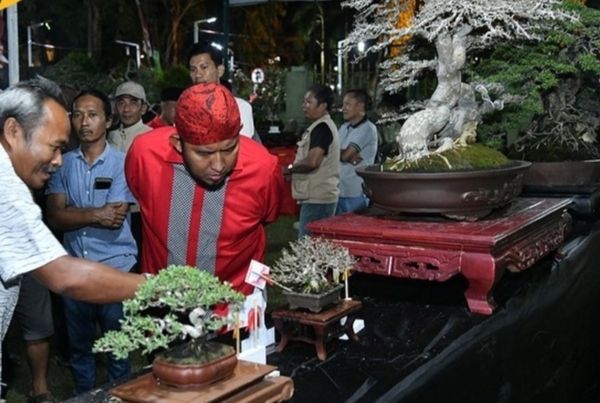 Bupati Fauzi Apresiasi Pameran Bonsai Sumenep Pulihkan Perekonomian Masyarakat