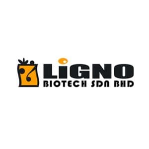 ligno