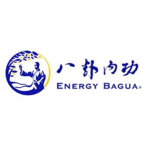 energy bagua