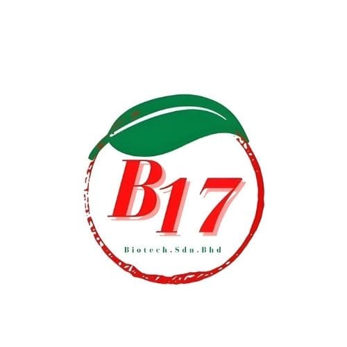 b17