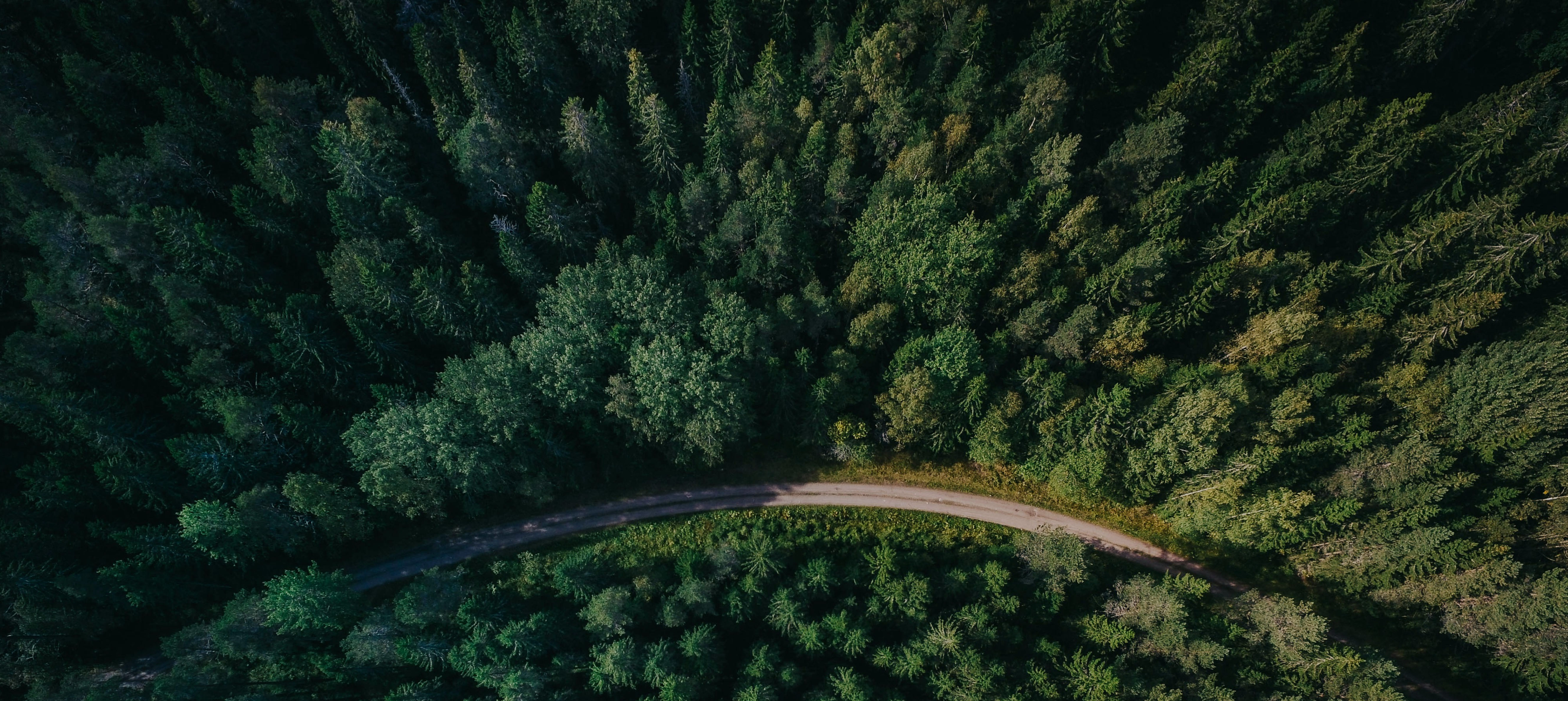 journey of sustainable