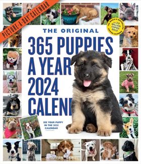 365 Puppies-A-Year Picture-A-Day Wall Calendar 202