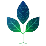 @Nuvoria avatar
