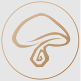 @FungaiaUG avatar