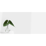 @domain avatar