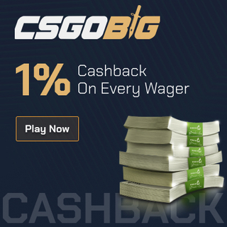 Image 1 from @CSGOBIG's post