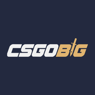 Image 5 from @CSGOBIG's post