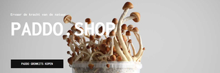 Image 1 from @paddoshop's post