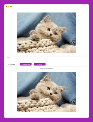Image 1 from @roc's post