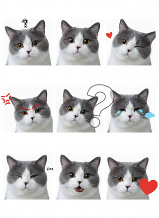 Image 1 from @francesstarken's post