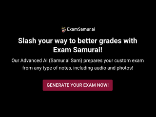 Exam Samurai screenshot