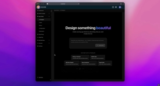 Vidori screenshot