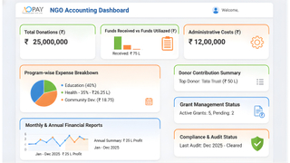 Non Profit Accounting Software screenshot