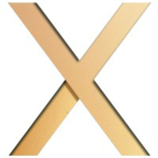 SearchX screenshot