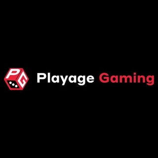 Playage Gaming screenshot