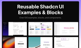 Shadcn Examples screenshot