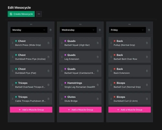 Mesostrength screenshot