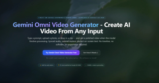 Gemini Omni screenshot