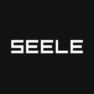 Seele AI screenshot