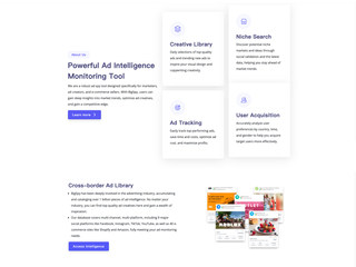 BigSpy: The Best & Affordable Powerful Ad Intelligence Monitoring Tool screenshot