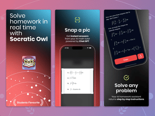 Socratic Owl: AI study buddy screenshot