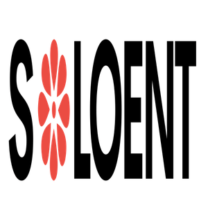 SoloEnt AI screenshot