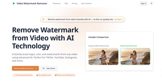 Remove Watermark from Video Online - AI Video Watermark Remover screenshot