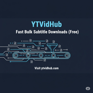 YTVidHub screenshot