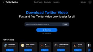 TwitterXVideo screenshot