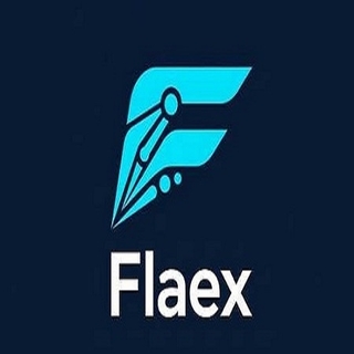 FLAEX AI screenshot