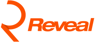 Reveal Marketing Group screenshot